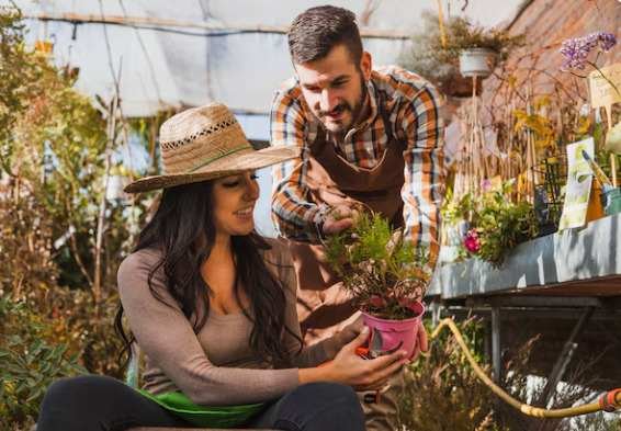 Decoradhouse Garden Tips by DecoratorAdvice: A Practical Guide